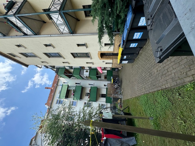 475-06-MS3.jpeg